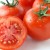 少しのコツで夏野菜が美味しく長持ち！トマトの正しい保存法とおすすめレシピ3選！