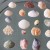 夏の思い出に！海で拾ってきた貝殻を使ったお役立ち工作アイディア集★下準備のコツも！